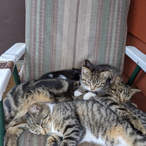 t2laserquest